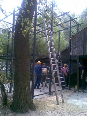 20091007(021) (Medium)